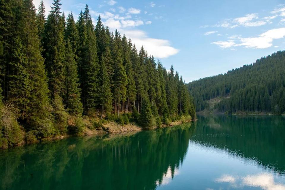 Camping Aviator, Numai Teren, Campare Pentru Rulote Autorulote Personale, Campingul Nu Are Rulote !!! Buşteni Esterno foto